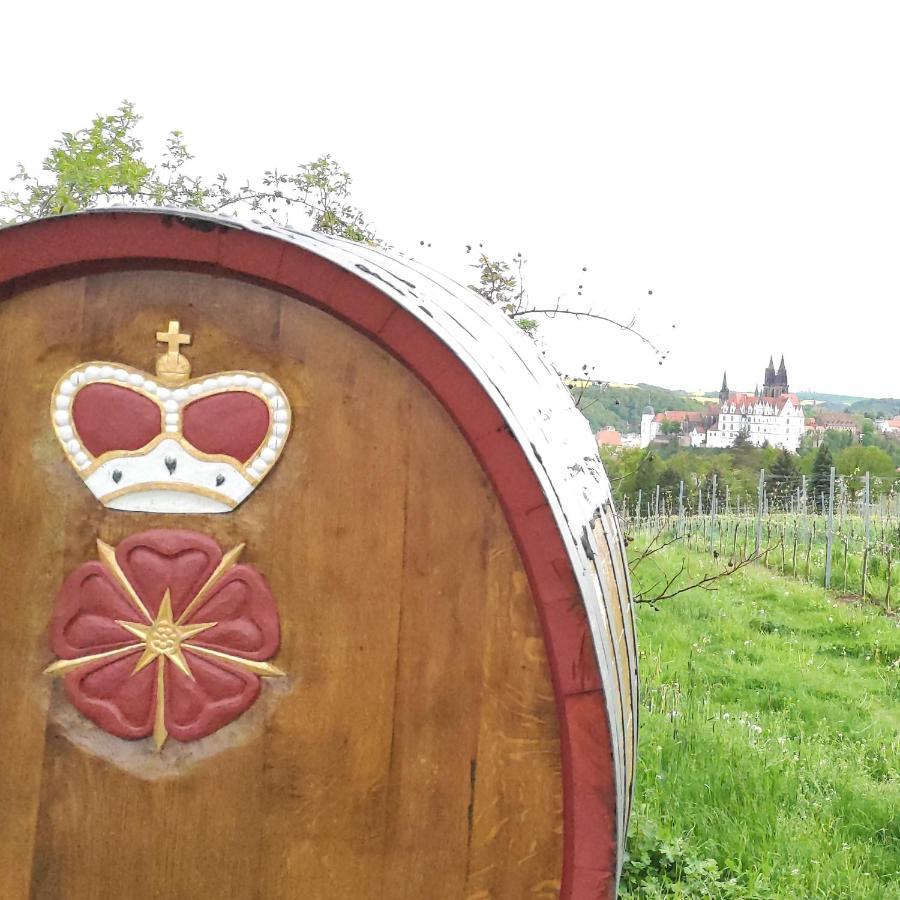 Goldrausch - Glanzvolle Ferienwohnung In Meissen Am Lutherplatz Kültér fotó